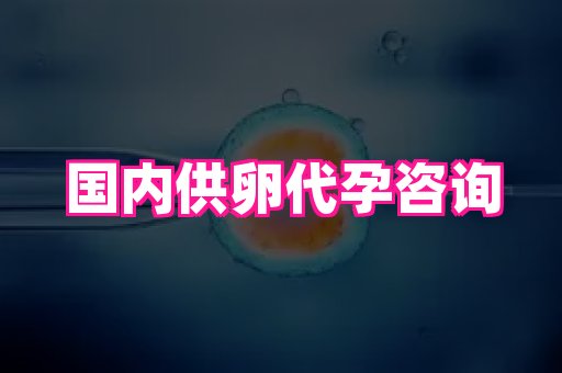 深圳助孕网站 4